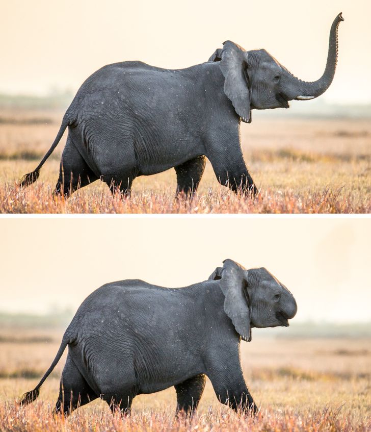 5e51fd5b4fb94ce2d5a7279643