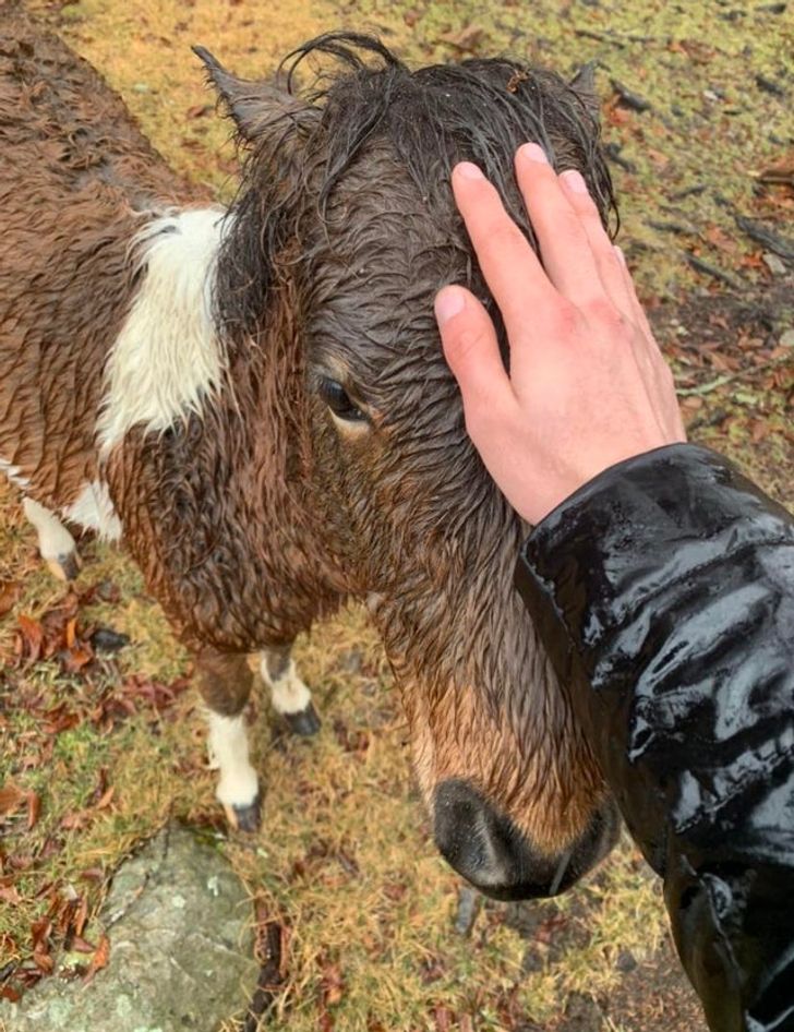 5e580a54f8b4b822347f6fef72