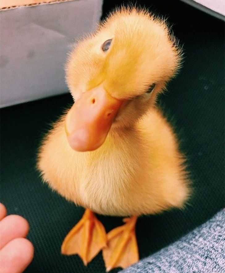 5e5a955a6b8d399fefd6cab47a