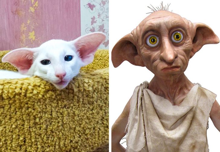 5e5d3353a086c0cb432da76c51