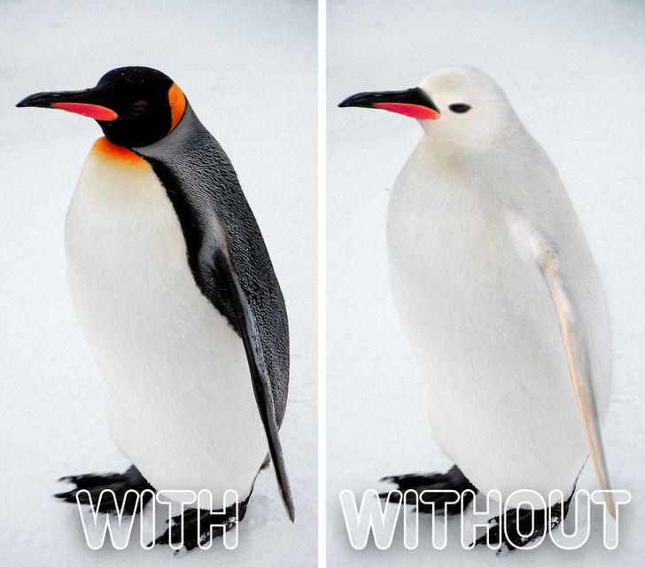 5e6a0052d797cda80c27c858b6