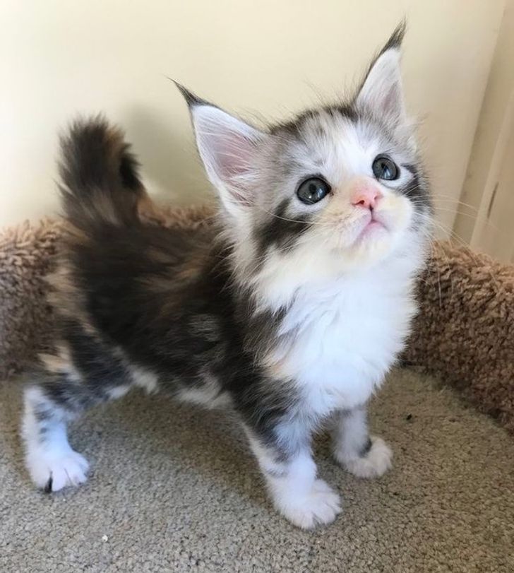 5e6fbc50f2ab74f521906211e3 5e6fbc50f2ab74f521906211e3