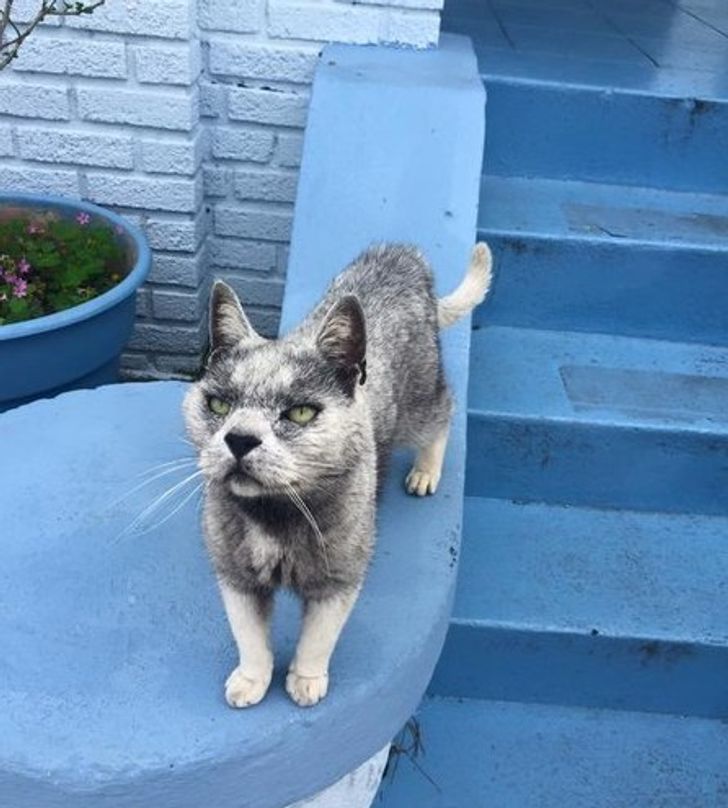 5e75015d8b8ec3ec94a01869f1