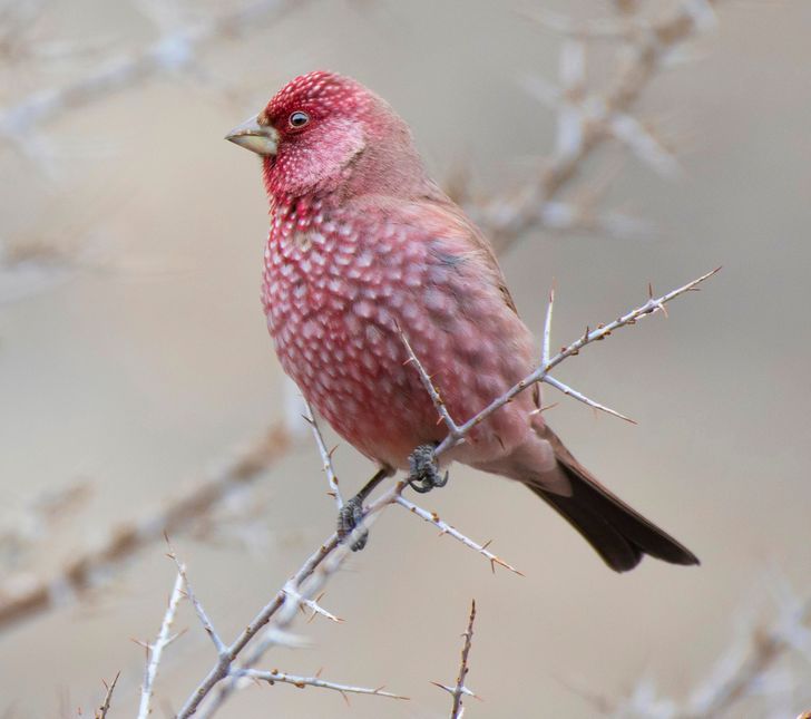 5e7824568a863a4df0dc1f9c0f