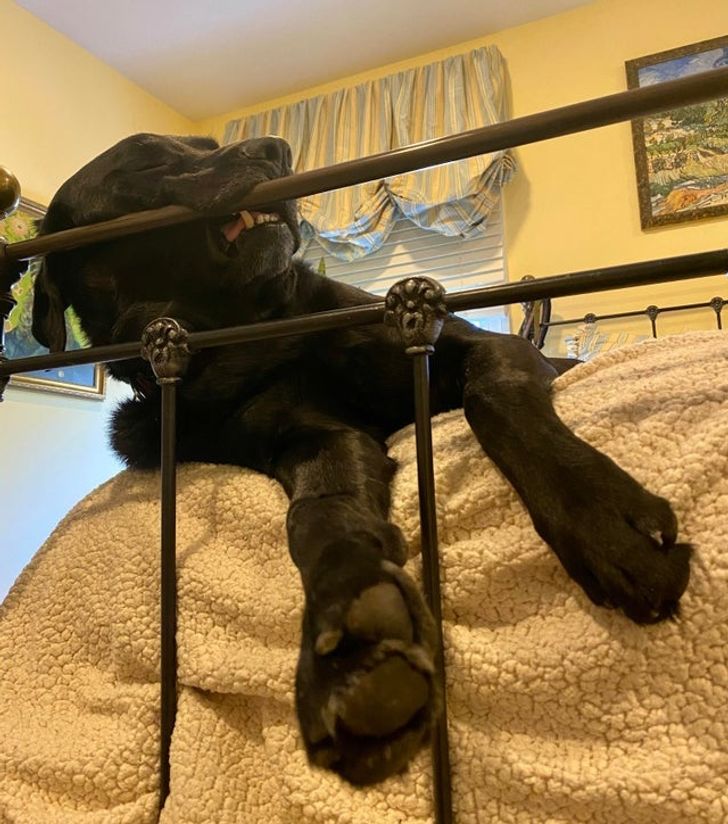 5e7ae25e0ebb550a6cf33e50c7