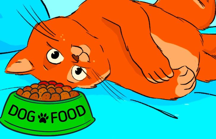 5e7b1c51479f42d681bccfebf0