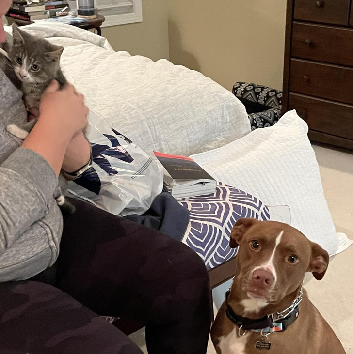 5e80675287a195ba1d3a93c4df