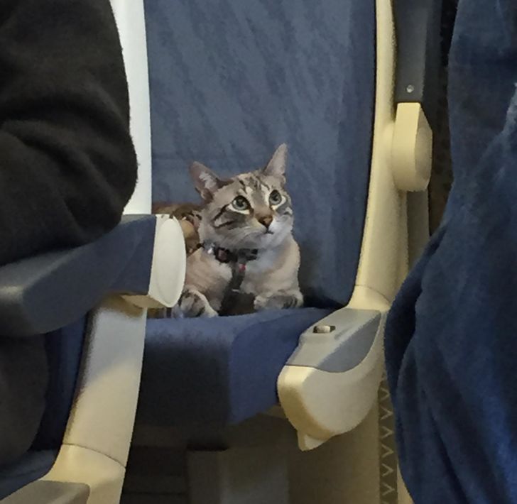 5e8211525a94f23c48e6208ed6