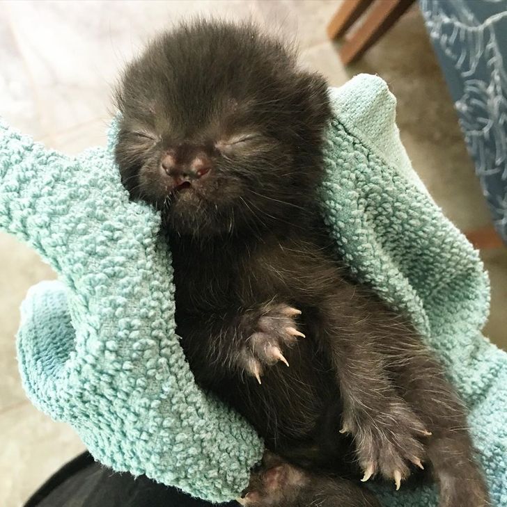 5e821a5c4081b118a1b5dd46e2