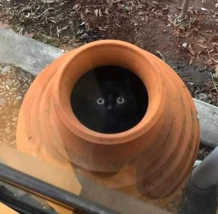 5e82ed57c58aa0de3a9ae8478c