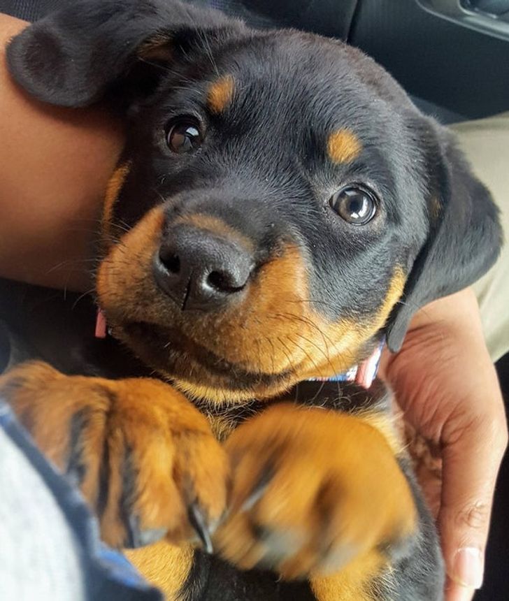 5e854554a993083ffd7cdbd065