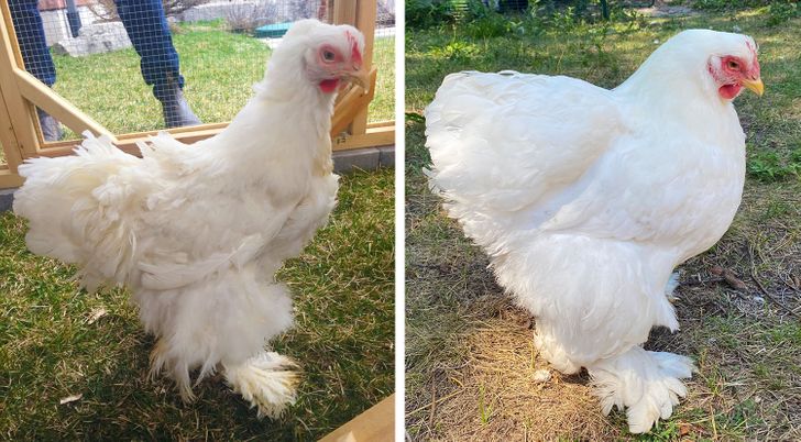 5e85f15b3885c585ce6faadf11