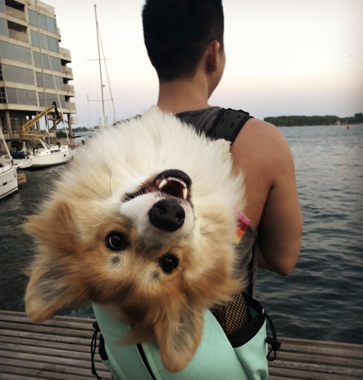 5e8c66528b937d93634c096cbe 5e8c66528b937d93634c096cbe