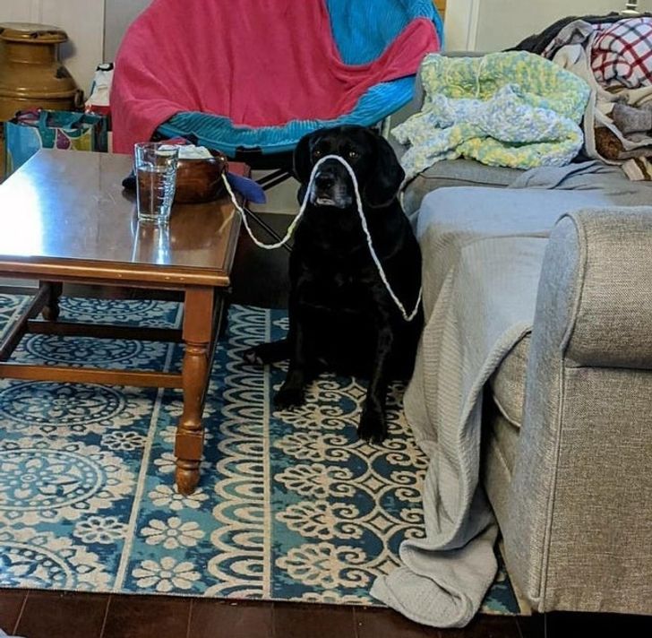 5e971d529f914db2bf8c70dd15