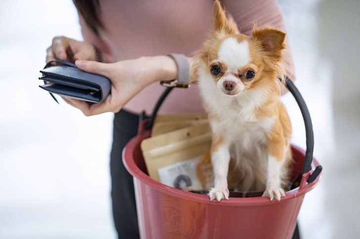 5e97bd5eabb7596e9901ae7766