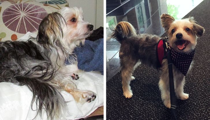 5e9f9357c8b5fd340c49cad812