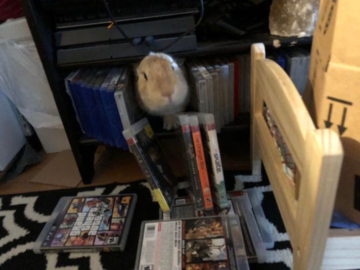 5ea01758c9aa7d9b919a64802d