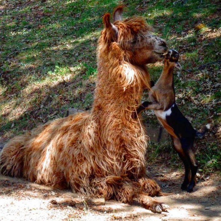 5ea24e51768f2bee27eb7750fc