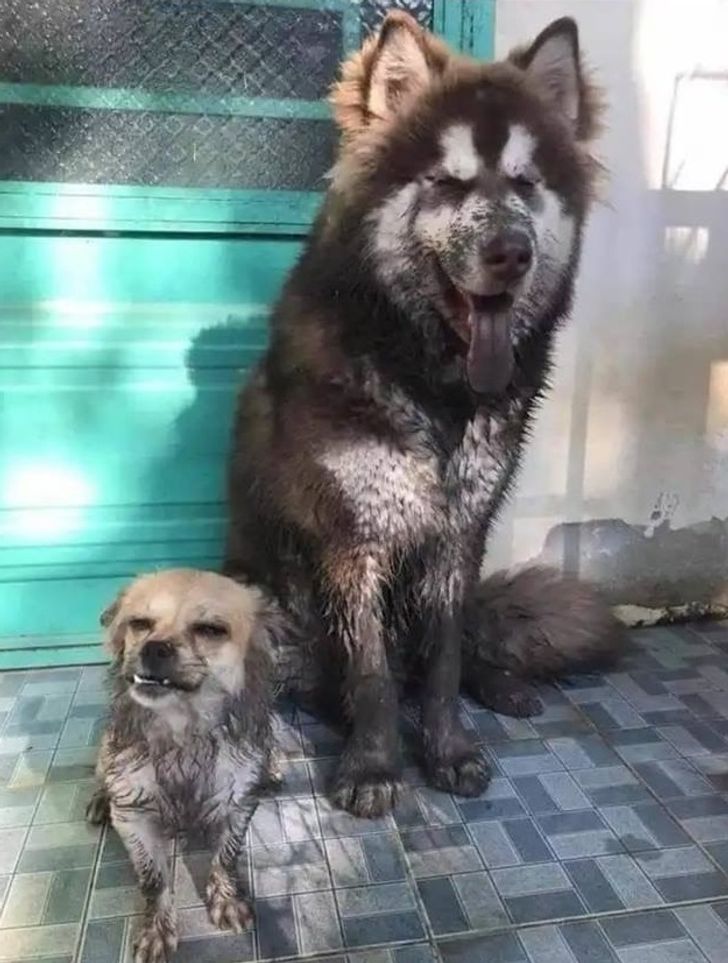 5eaa1958709cde511c58a3431e