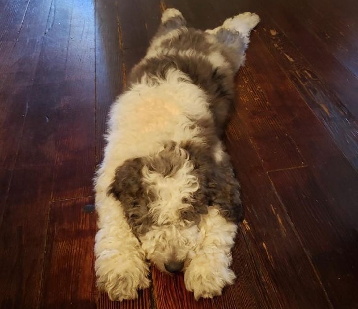 5ead215e8d8a0e2ce3b3462f3c