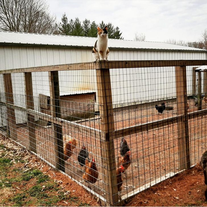 5eb0745fb7835ad4973616bf5e