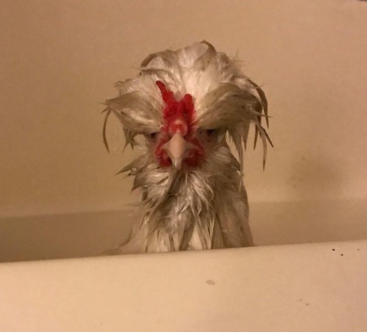 5eb3335643ad3abf5fcb28c7f6