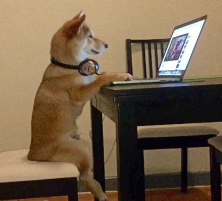 5ebbde5e89bf879be54222497b