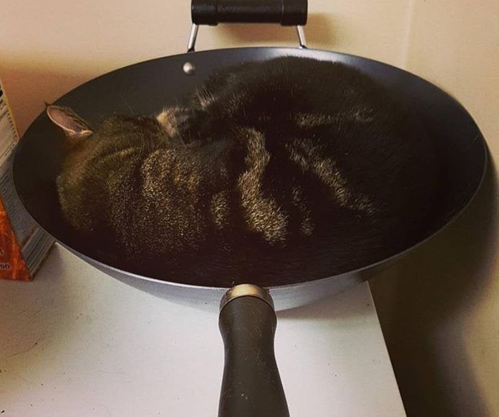 5ec5b55ef4beae452bb6473726