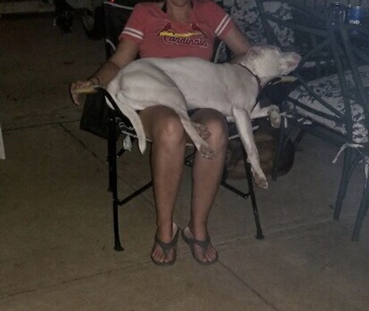 5ec6e351e189eeeceddddd2c41