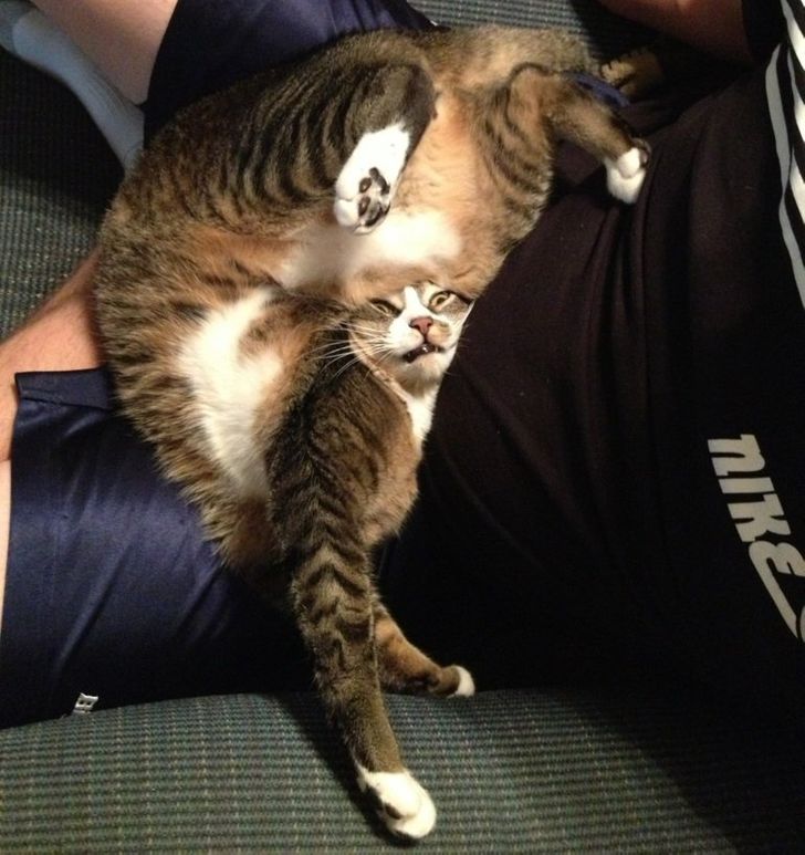 5ed06d574dac6211b295943d94