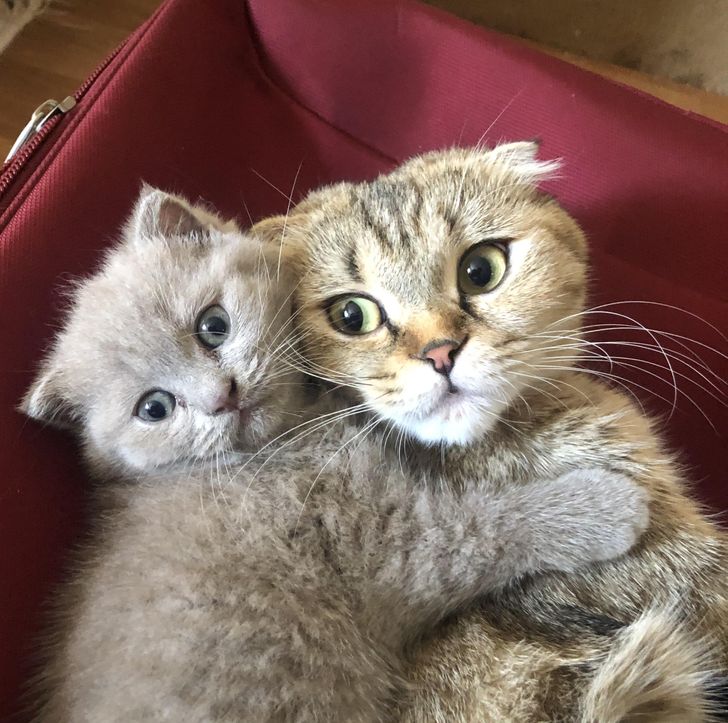 5ed20e56089de0748934fe55bf