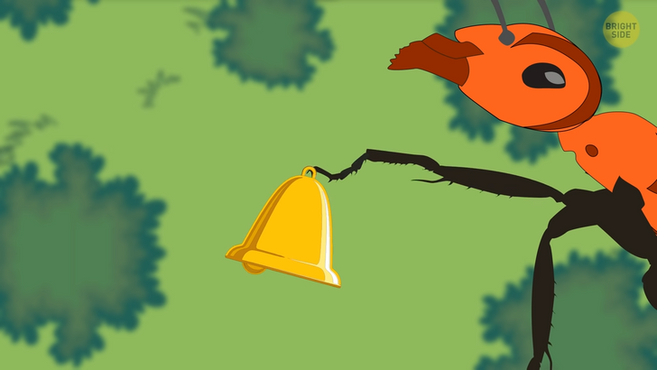 5edb465e19939e4bf30e9a8597 5edb465e19939e4bf30e9a8597