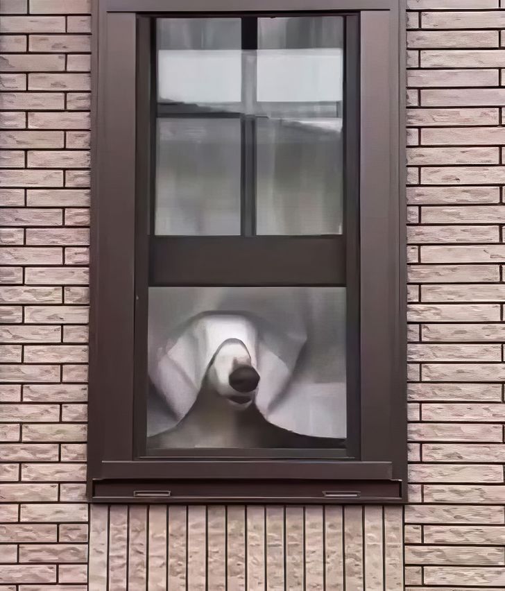 5ee0e05bf1a28f437d668e7a2a