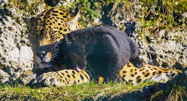 5ee48e59158f581ae6a344c01a