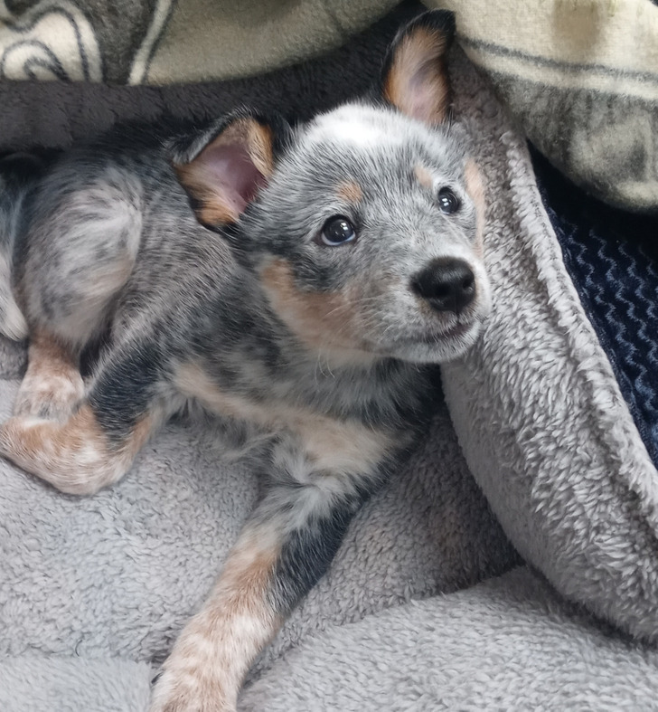 5ee6ae563495cfe2f303df8478 5ee6ae563495cfe2f303df8478