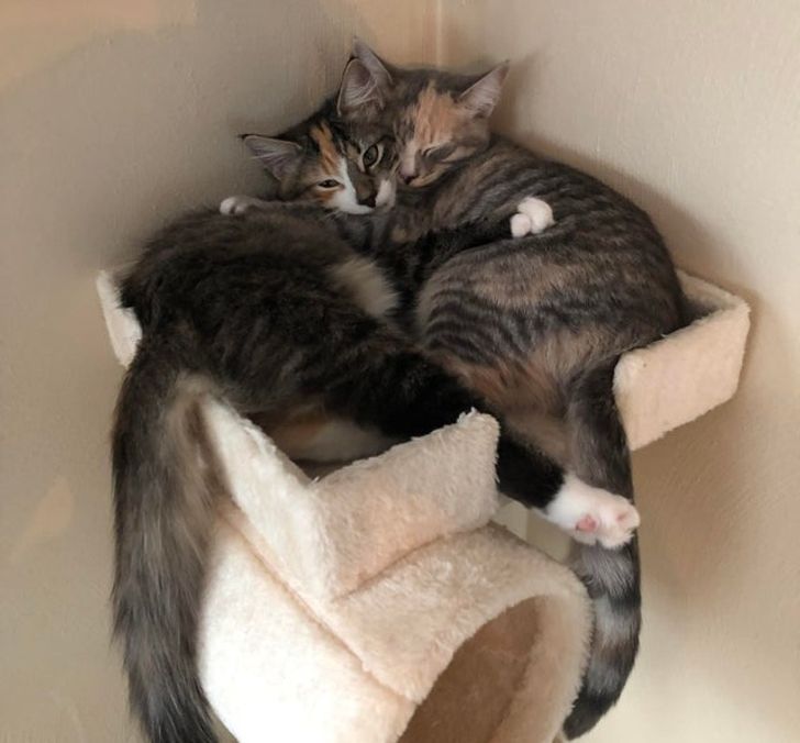 5eee1c5808b35fb6c3d66c6fd0