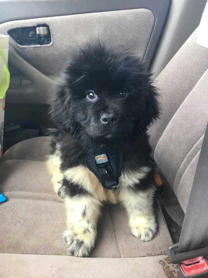 5ef4a055eead23a23027be5171