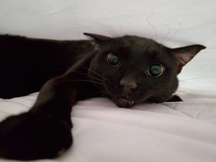 5efcc85ed598e0329f593499dc