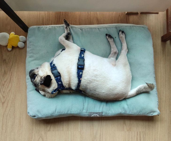 5efd8d5ca4a543fbfbfd635fa2