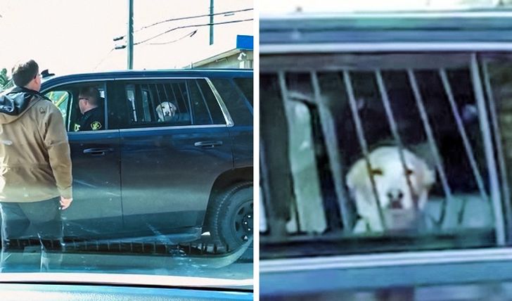 5efe5452dca644d69bb82c81a4