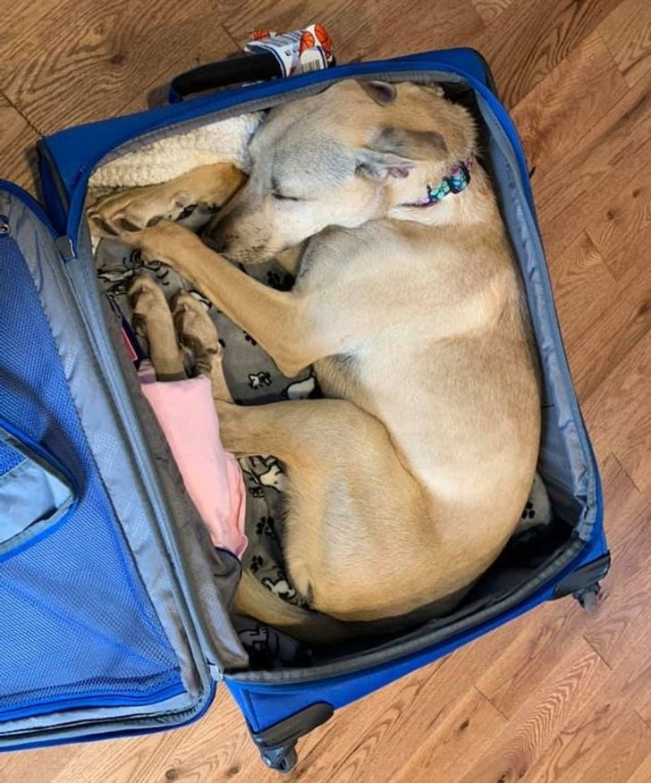 5f09c75d61868da54036d3ad6c