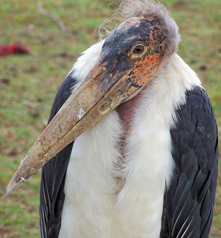 5f106d5d989d6e06103f19814f