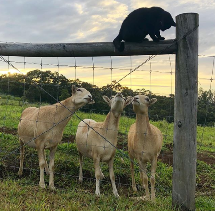 5f120553f4aab93467646eba98