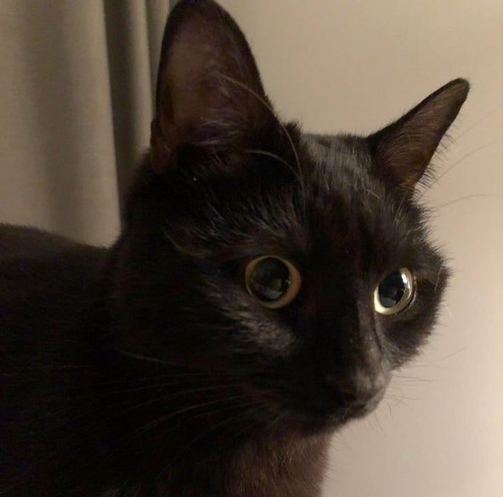 5f1be954038ca907e98494bbf1