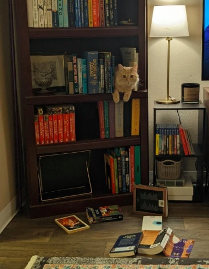 5f247b5231bd2acdafb8c2af53 5f247b5231bd2acdafb8c2af53