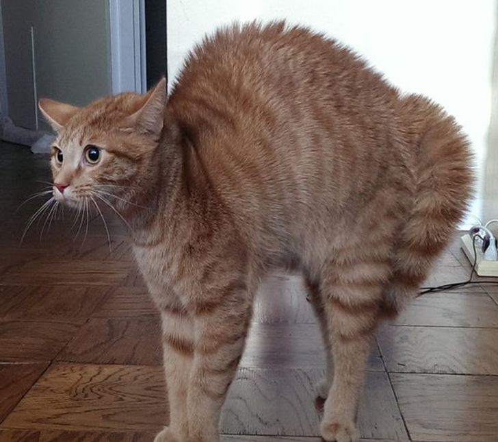 5f294252f3b15920624191fbcd