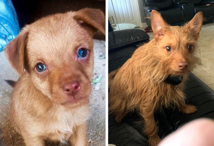 5f2a925b548897f32843bb3718