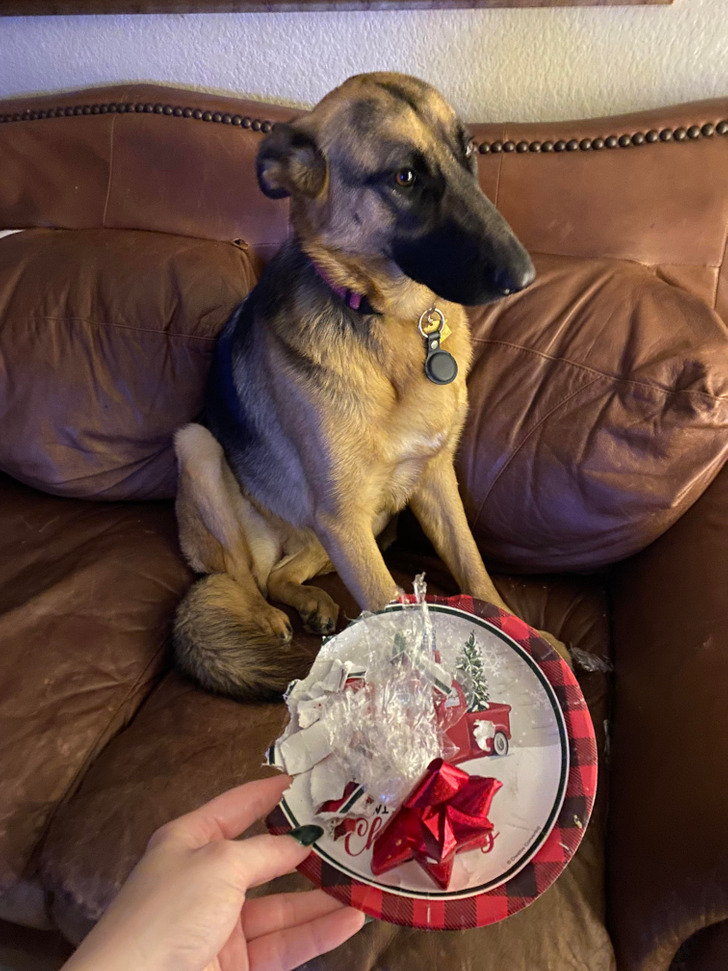 5f2be952e2b9496a26f46cf338 5f2be952e2b9496a26f46cf338