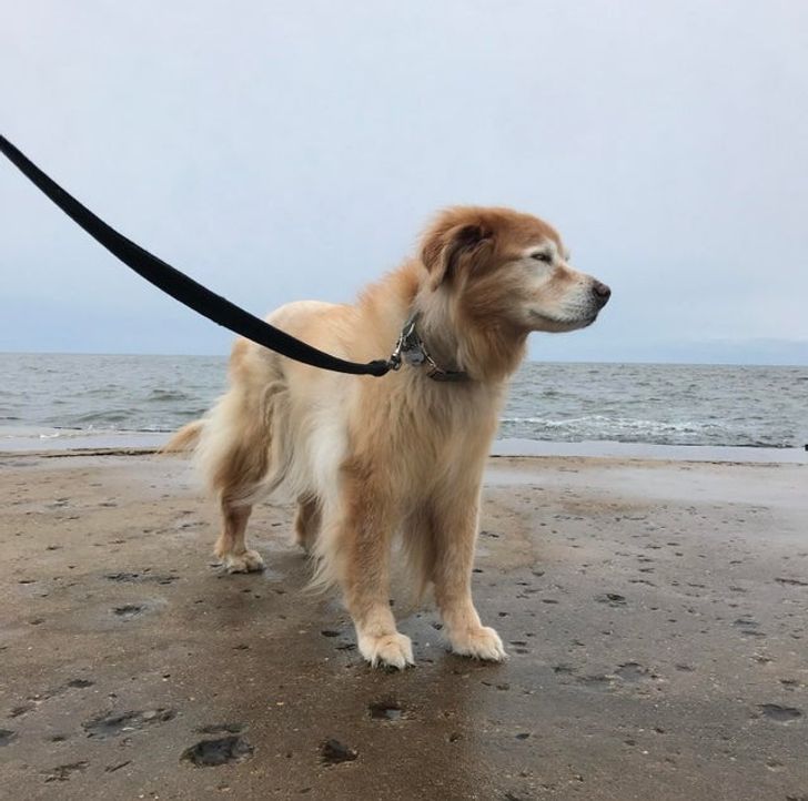 5f36c85cfd99090d869336e316