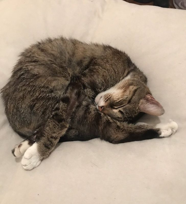 5f46c7521a808a177ab633344e